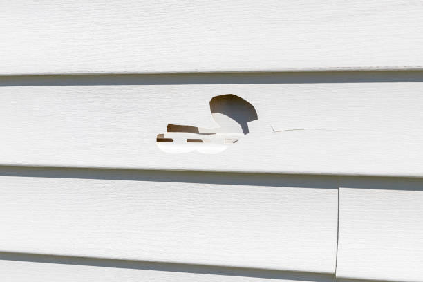 Franklin, TN Junk Removal Pros